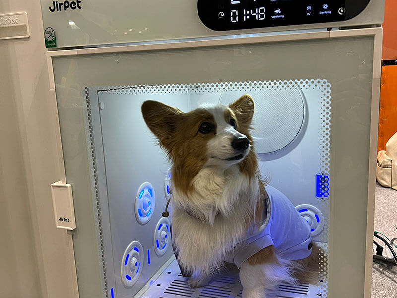 2024インターペット出展の様子