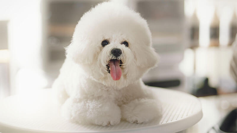 居心地の良いサロンづくりをお手伝い