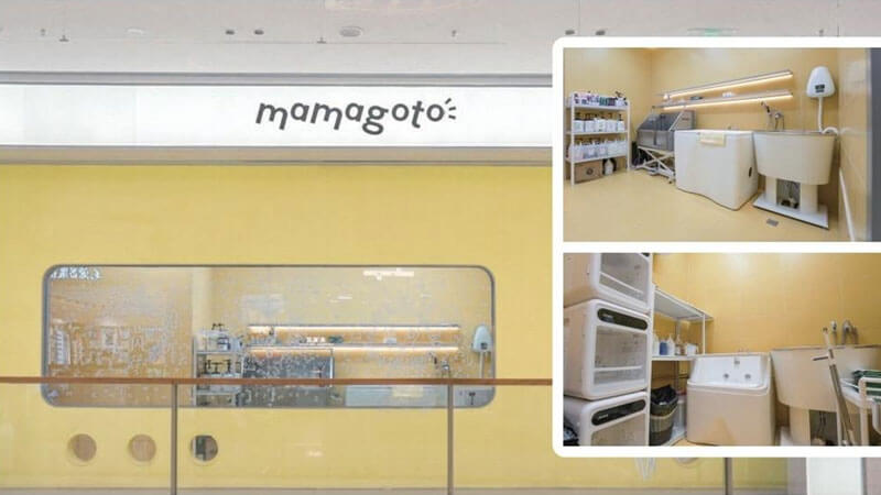 jirpet店舗導入事例