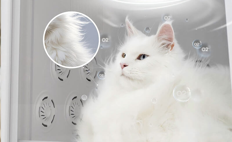 F1で空気浴ケア